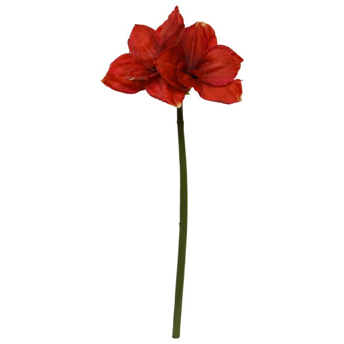 Amarüll