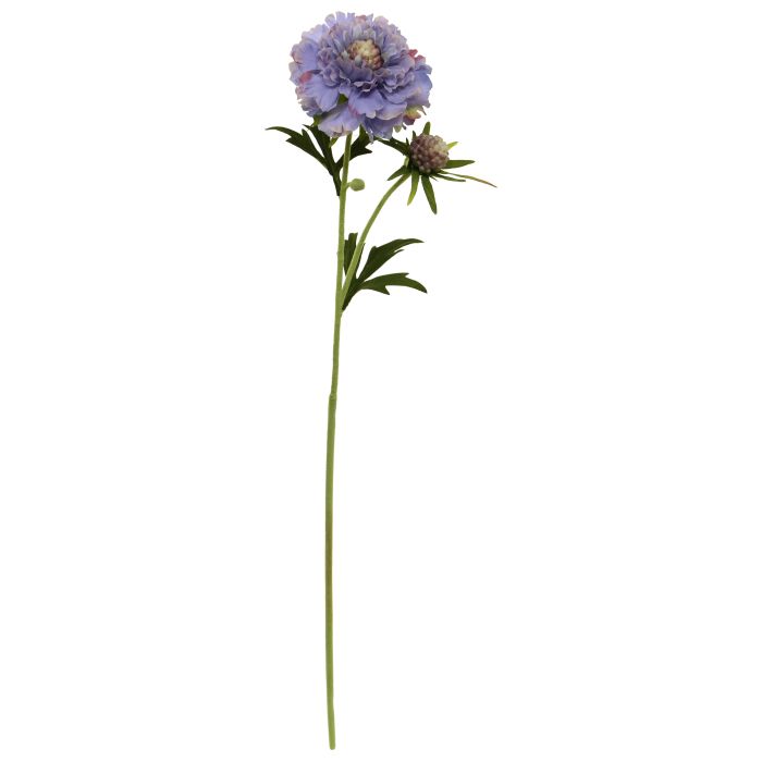 Tähtpea