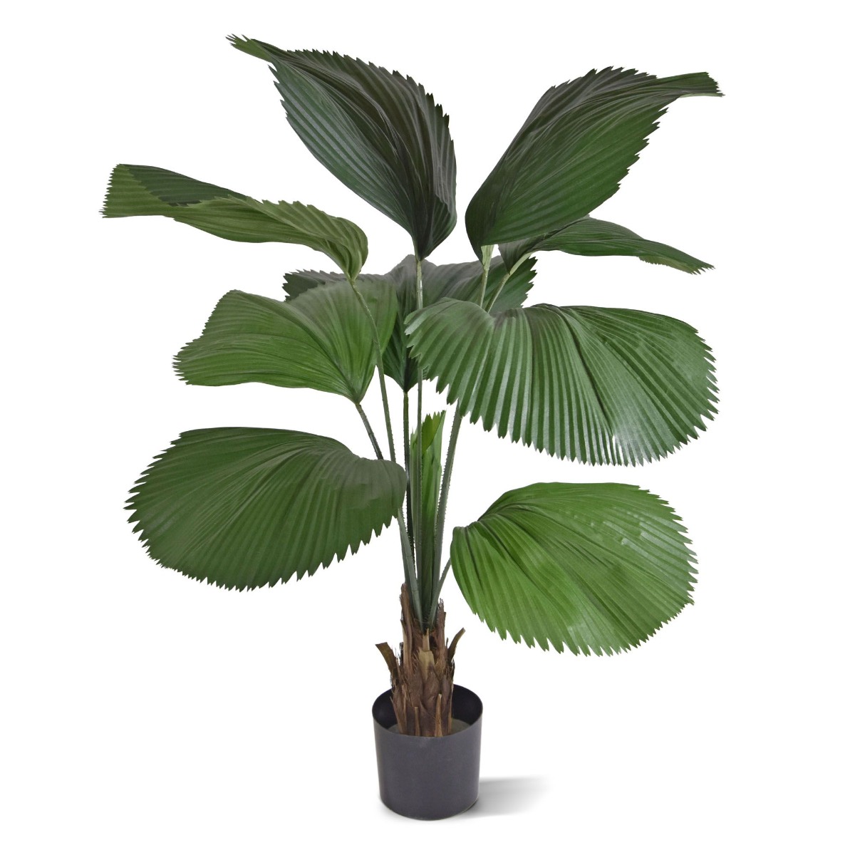 Suur vandepalm 