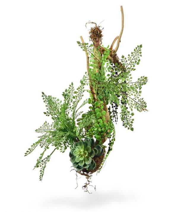 kunst-sõnajalg