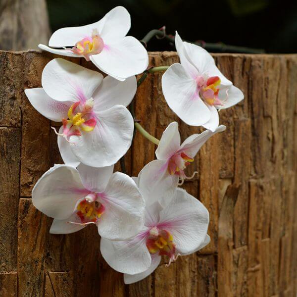 kunstlilled orhideed
