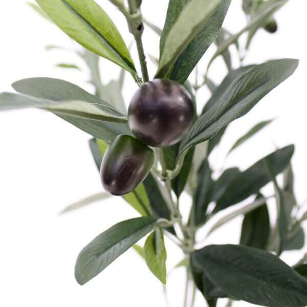 kunst-oliivipuu