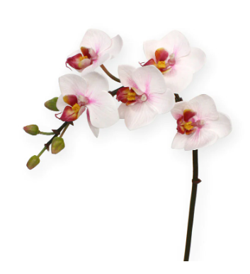 Konstgjord orkide