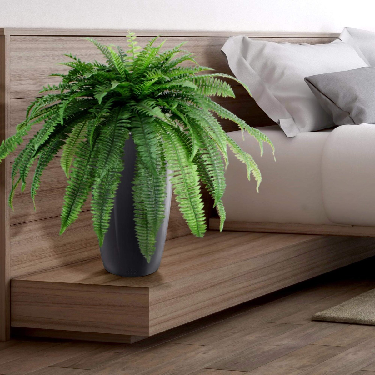 artificial fern