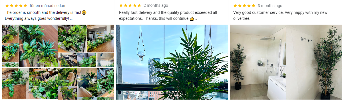 Plantas decorativas para alugueres Airbnb