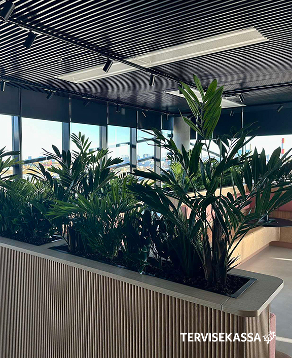 Premium artificial plants used in modern design project