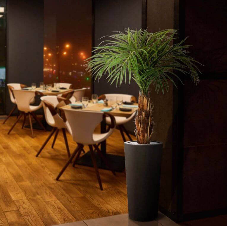 kunstpalm restorani