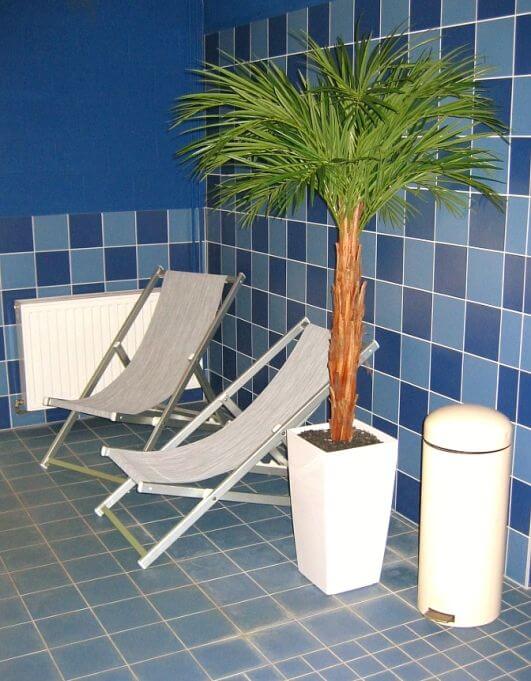 palm spaasse