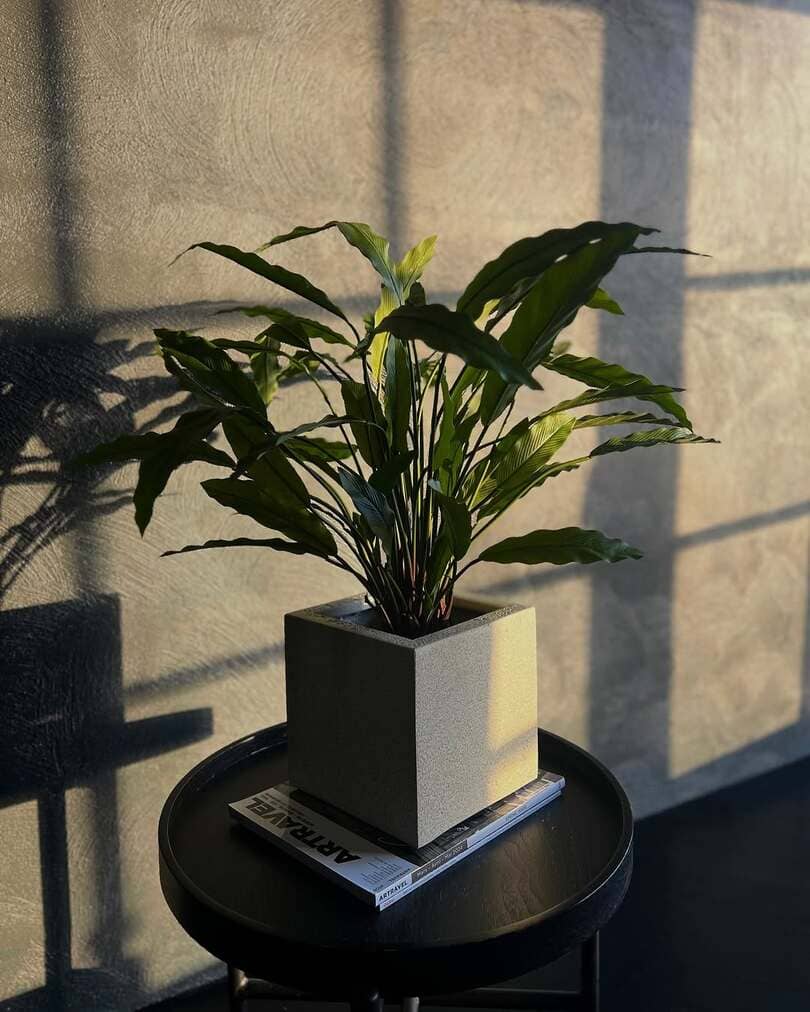Artificial plant used as living room d&eacute;cor with modern interior styling
