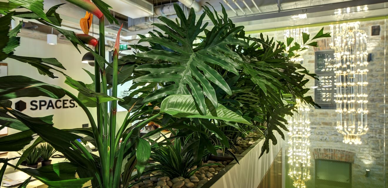 High-quality artificial plant with realistic green leaves for modern indoor d&eacute;cor