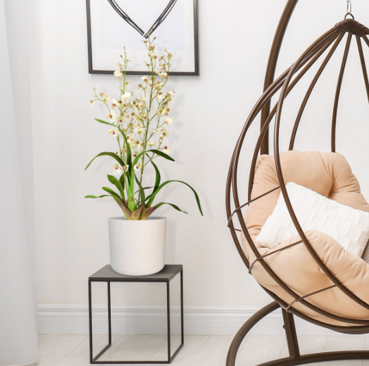 Plantas falsas para a decoração do Airbnb