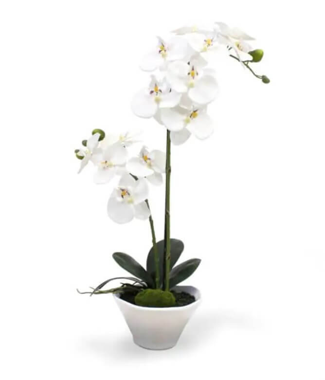 dirbtinis orchideja