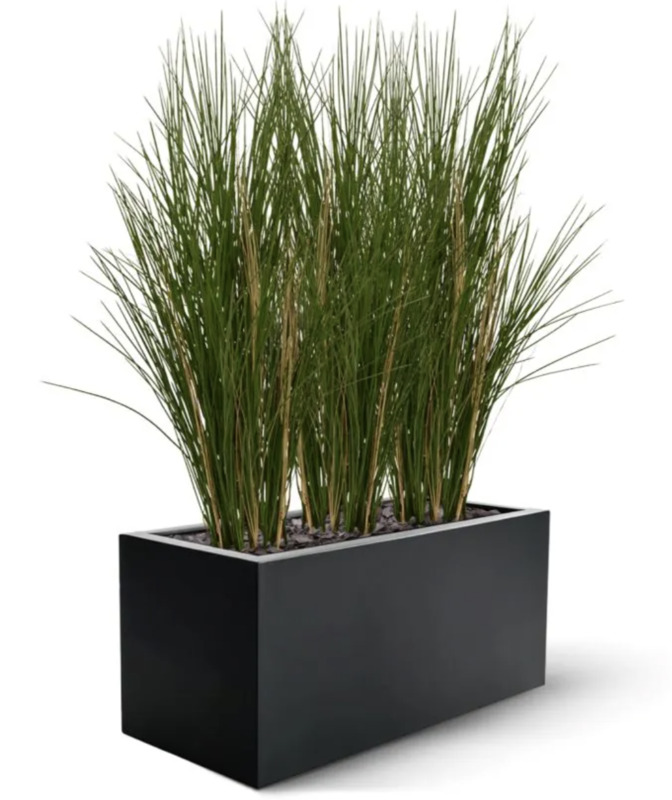 Grass Plant UV