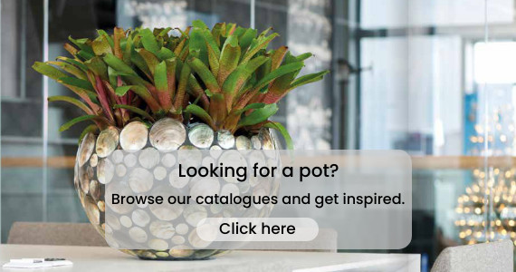 Pottery catalogs