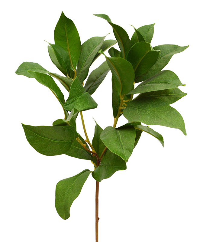 Loorberi kunstoks