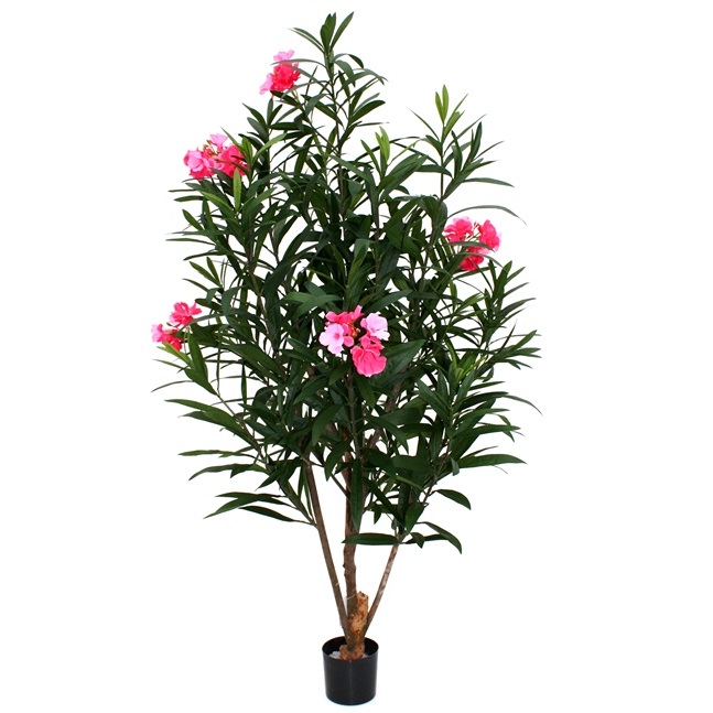 Kunst-oleander