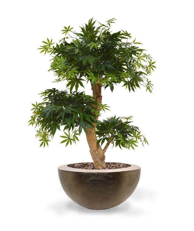 Kunst-bonsai vaher