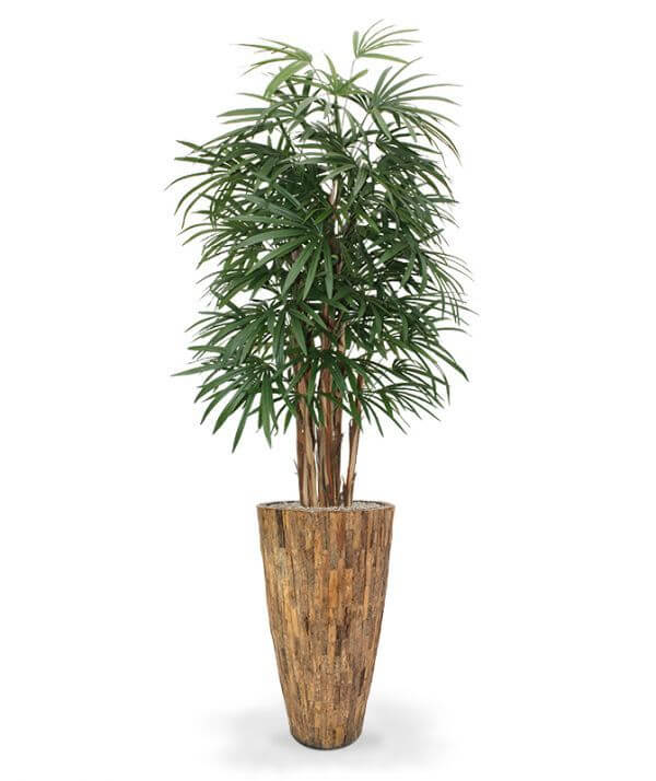 artificial raphis palm