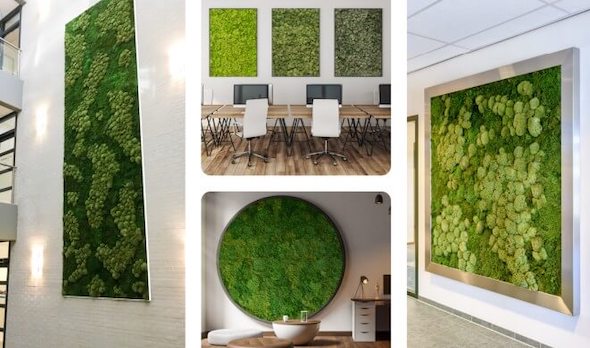 Mosstavlor som pryder väggar i olika miljöer