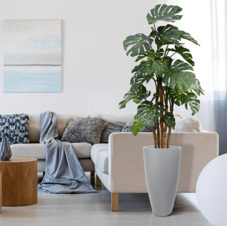 kunsttaim monstera