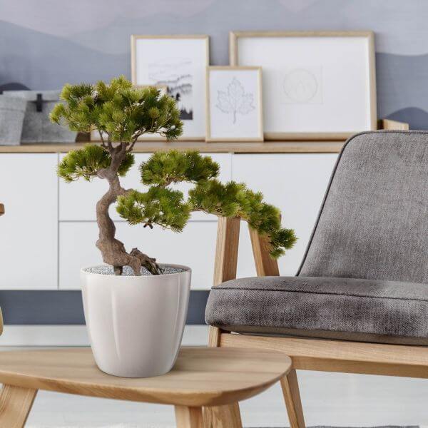 kunstbonsai