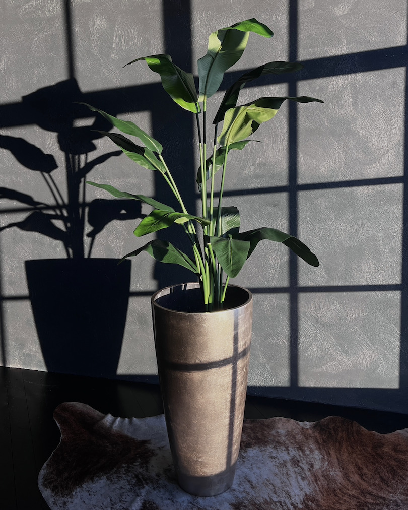 Artificial plant used as living room d&eacute;cor with modern interior styling