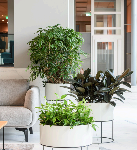 themodernstand